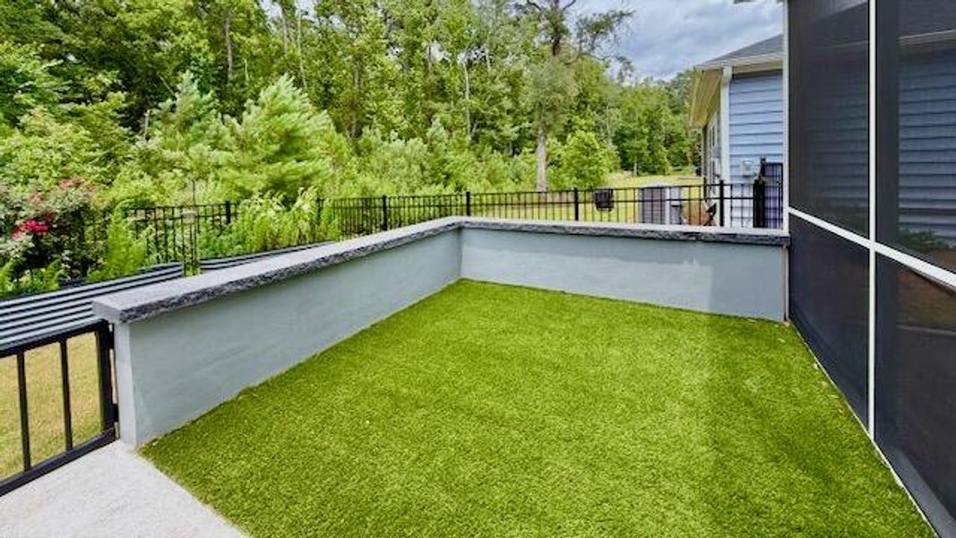 Exterior details and patio area of a home in Horizons at Summers Corner | 55+, Summerville (Image 3).