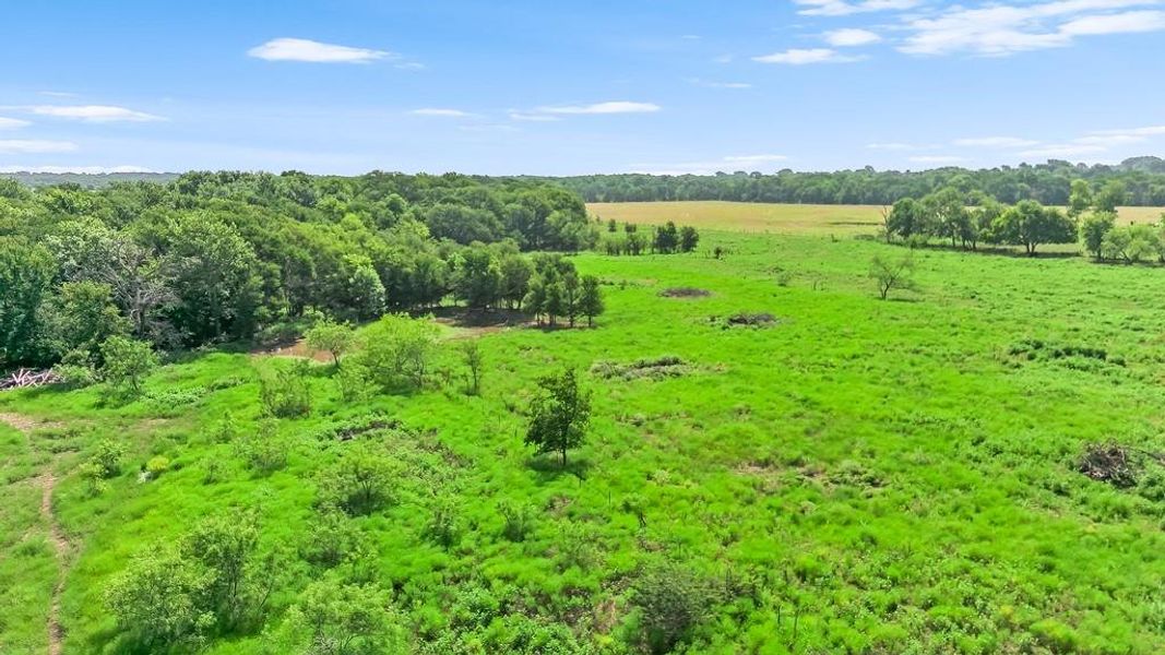 Bird's eye view of a forest Bird's eye view of a forest