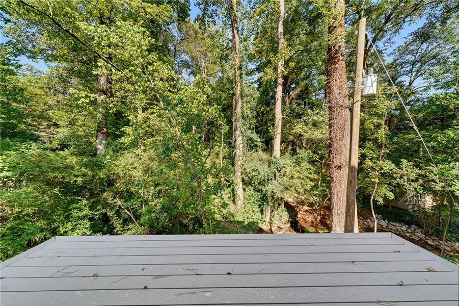 Natural landscape and outdoor views near  in Atlanta (Image 47).