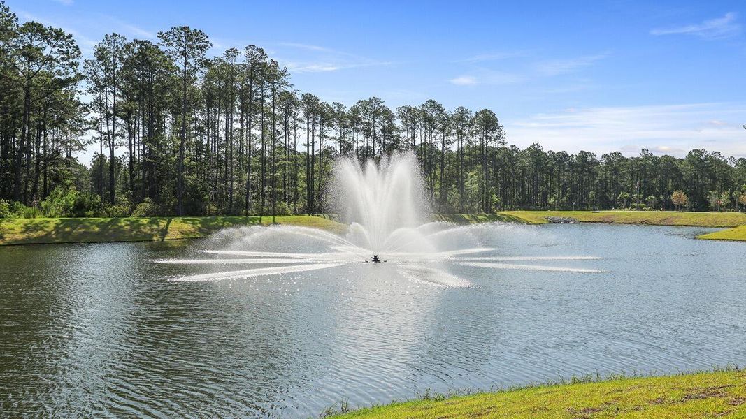 Natural landscape and outdoor views near Hillcrest in Ravenel (Image 29).