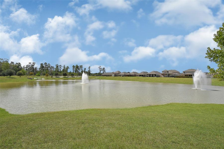 Natural landscape and outdoor views near Lakewood Pines Preserve in Houston (Image 24). Natural landscape and outdoor views near Lakewood Pines Preserve in Houston (Image 24).