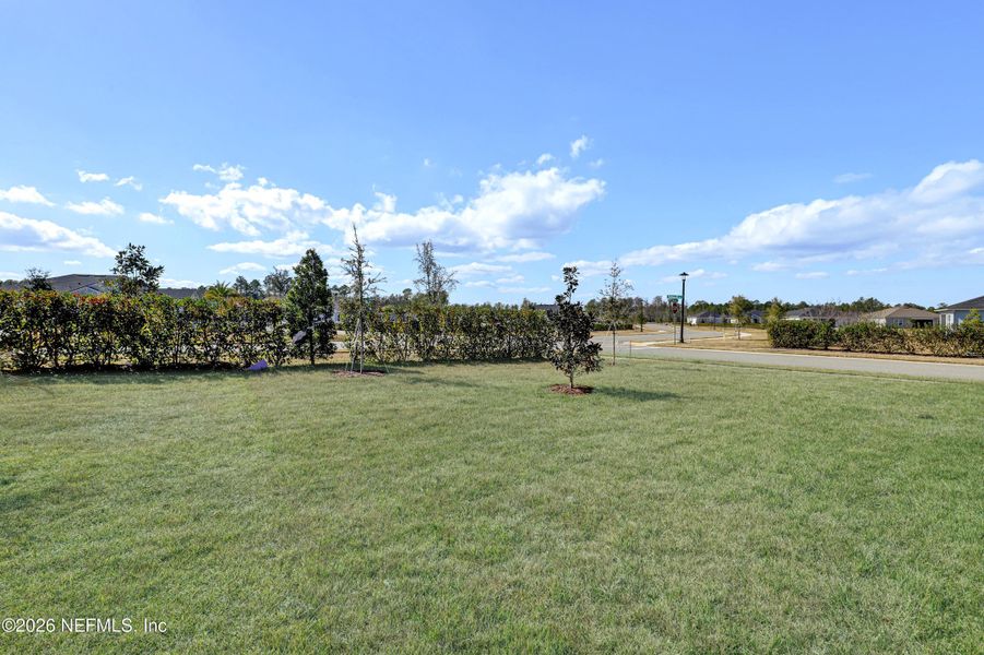 Natural landscape and outdoor views near  in Palm Coast (Image 18).