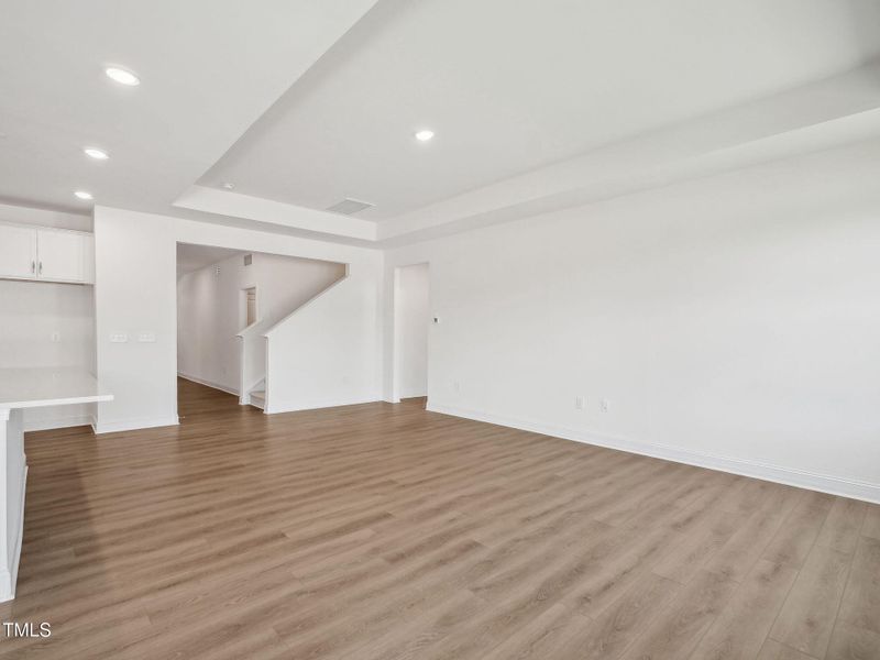 Family Room w Tray Ceiling