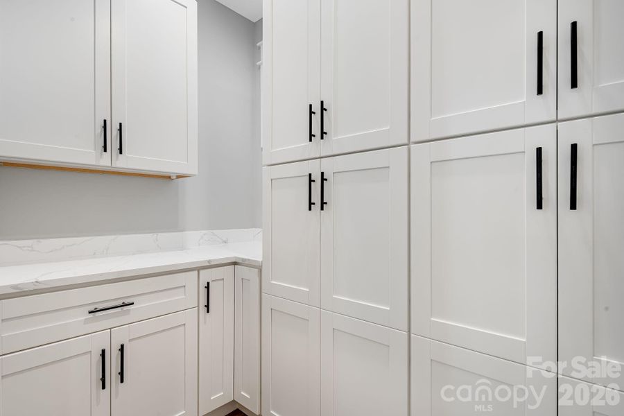 Walk-in pantry