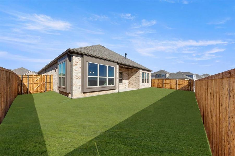 26. 1328 David - Back