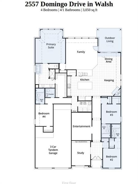 2D floor plan layout of this home in Walsh, Aledo, TX (Image 2).