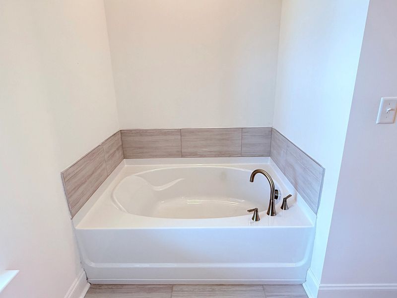 Primary Bathtub