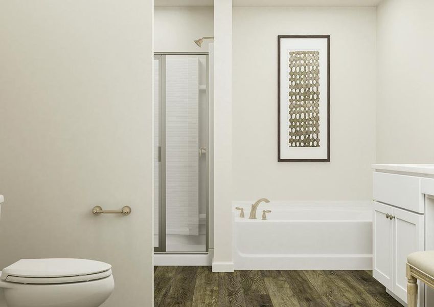 Rendering of the master bath looking
  towards the shower and separate tub. In the foreground is the vanity and the
  toilet, which is tucked behind a privacy wall.