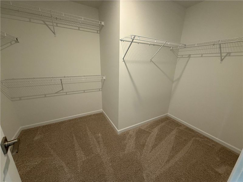 Ample shelving within a well-proportioned walk-in Ample shelving within a well-proportioned walk-in