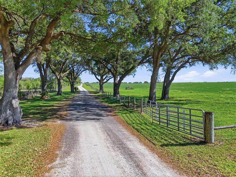Natural landscape and outdoor views near  in Bronson (Image 73).