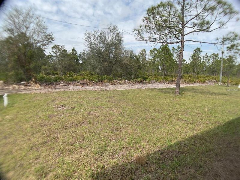 Natural landscape and outdoor views near  in Punta Gorda (Image 23).