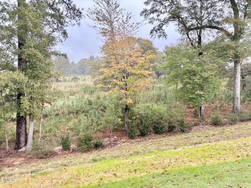 NP 23 View from Back yard