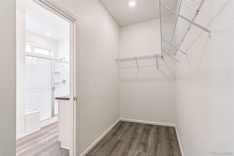 Spacious, unfurnished interior of a new home in Farmlore, Brighton (Image 16).