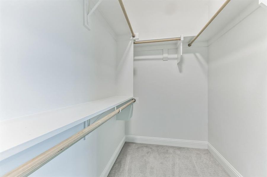 Walk in closet featuring carpet flooring