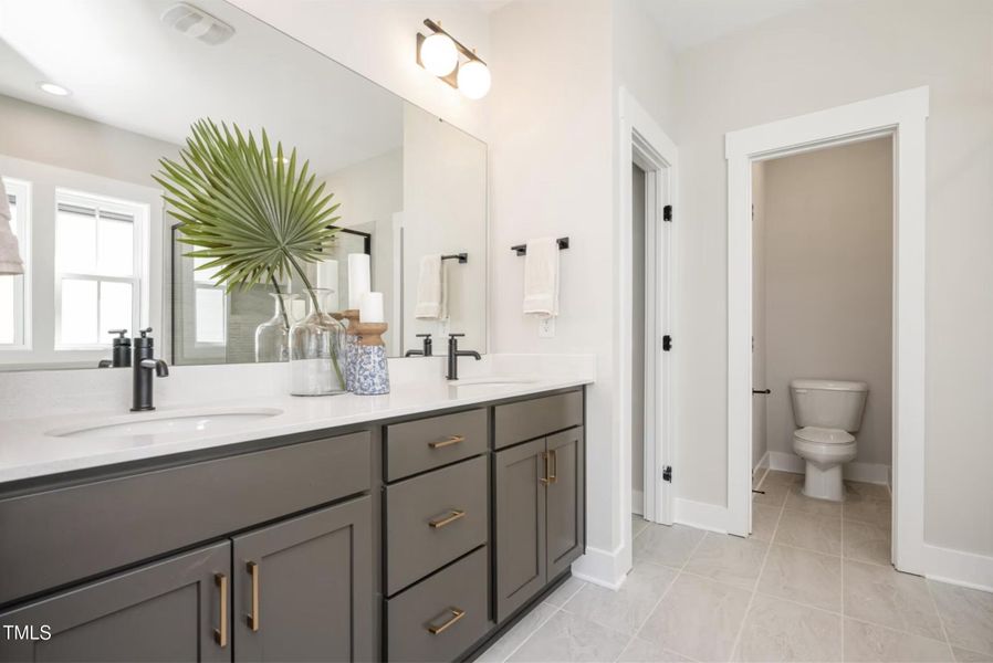 Model Representation