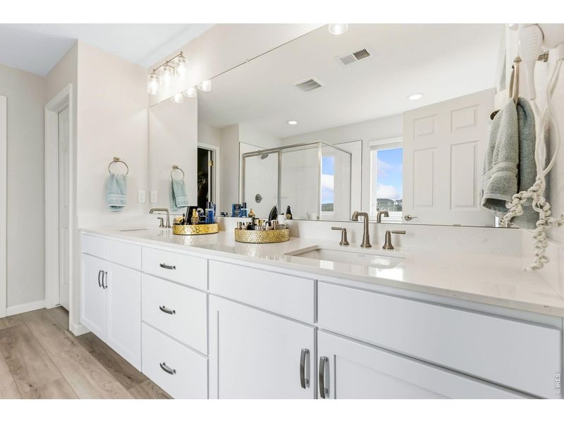 Furnished interior view inside a new home in Prairie Song, Windsor (Image 19).