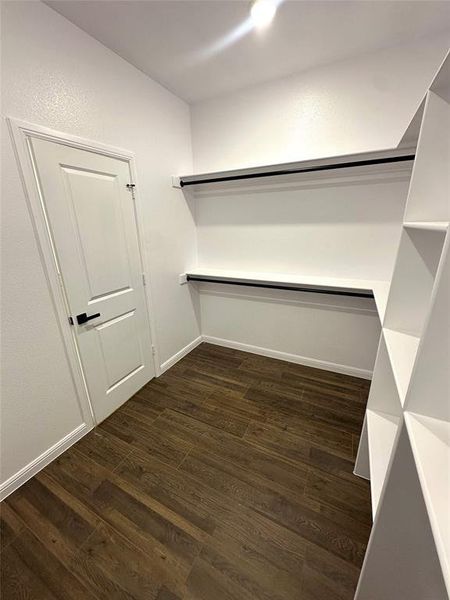 Spacious closet featuring dark wood-type flooring