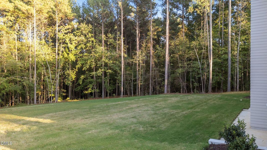 18-web-or-mls-DJI_20251006175930_0318_D 18-web-or-mls-DJI_20251006175930_0318_D