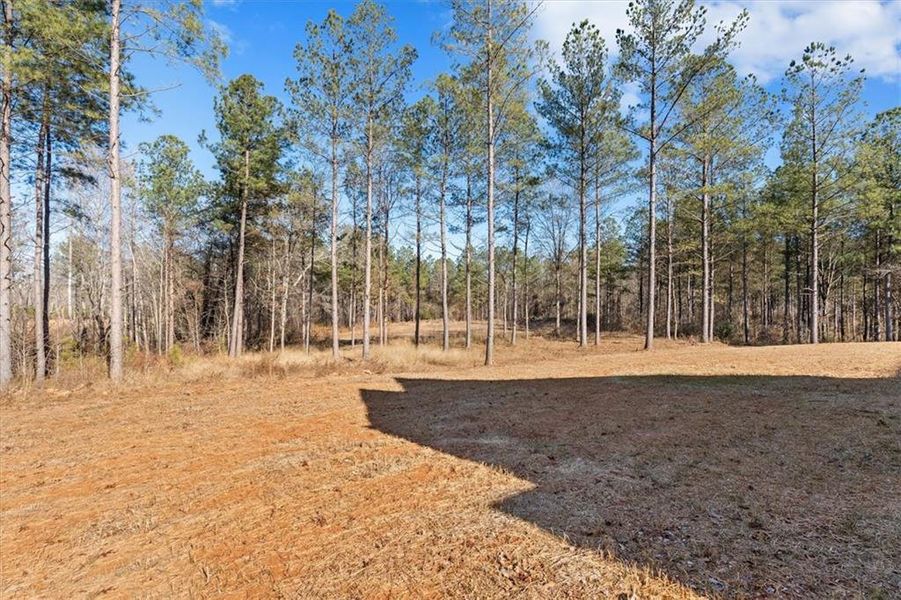 Natural landscape and outdoor views near in Bremen (Image 45). Natural landscape and outdoor views near in Bremen (Image 45).