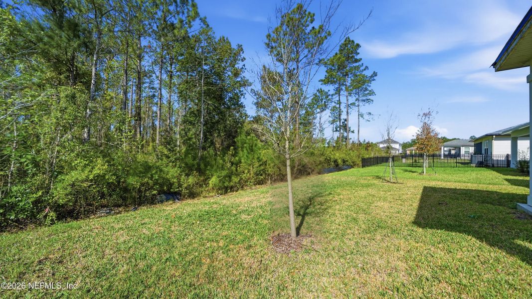 Natural landscape and outdoor views near Tributary in Yulee (Image 49).