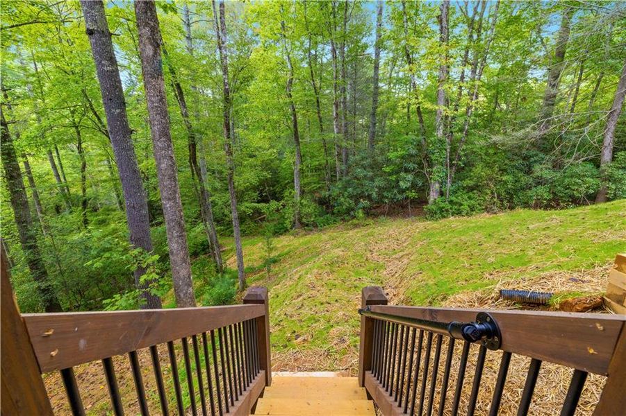 Natural landscape and outdoor views near  in Cherry Log (Image 43).