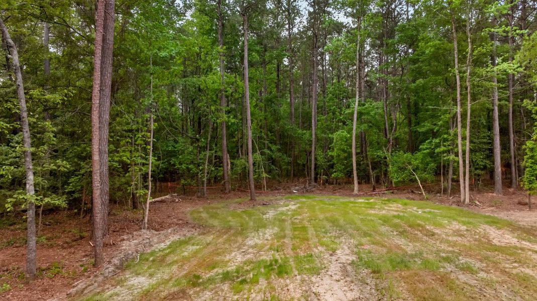 Natural landscape and outdoor views near  in Eutawville (Image 31).