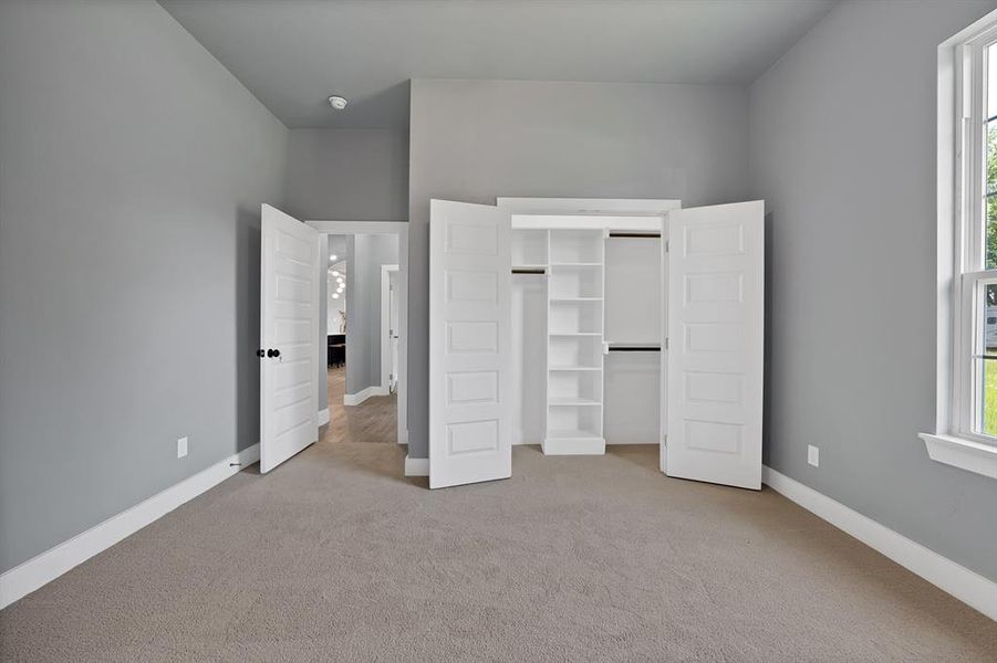 Room featuring light gray walls, white trim, and neutral carpet flooring