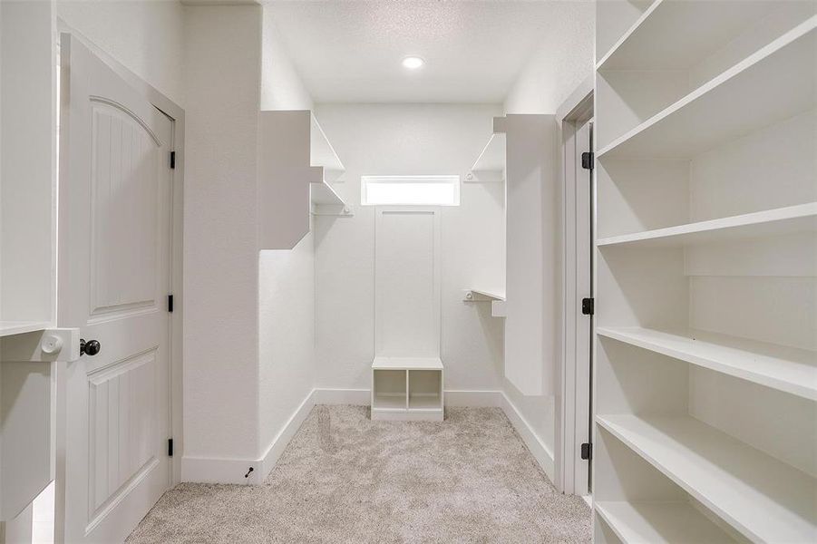 Spacious closet featuring light colored carpet