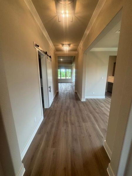 Long hallway with wood-finish flooring, recessed lighting, and crown molding