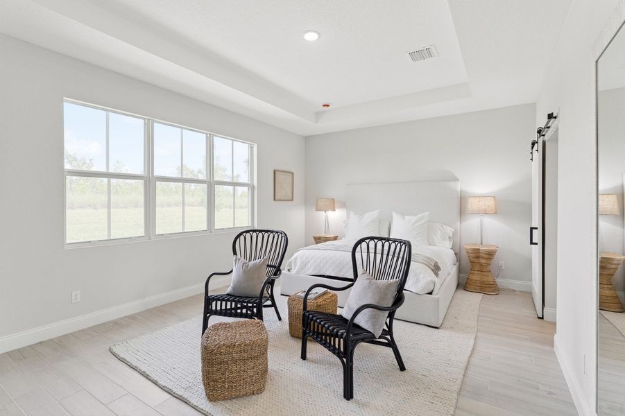 Primary suite with tray ceiling