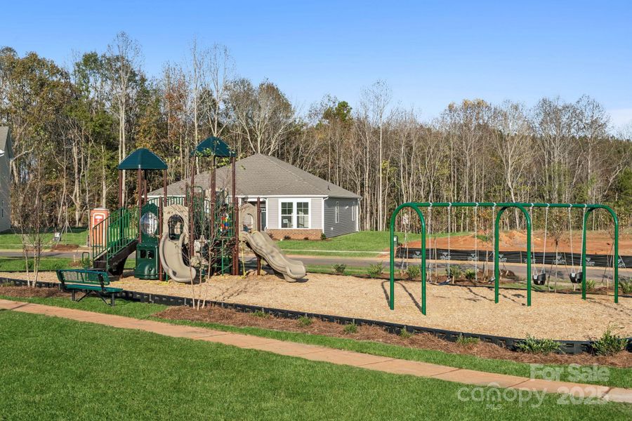 Community amenities in The Meadows at Carpenter Farms, Lincolnton (Image 5).