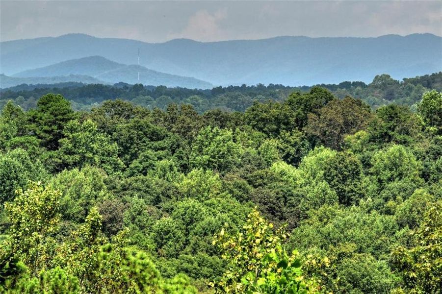 Image 42 of a home in . Image 42 of a home in .