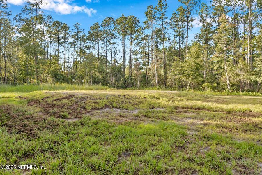 Natural landscape and outdoor views near  in Hastings (Image 32).