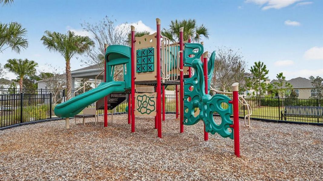 Community amenities in Canopy Terrace, Deland (Image 43). Community amenities in Canopy Terrace, Deland (Image 43).