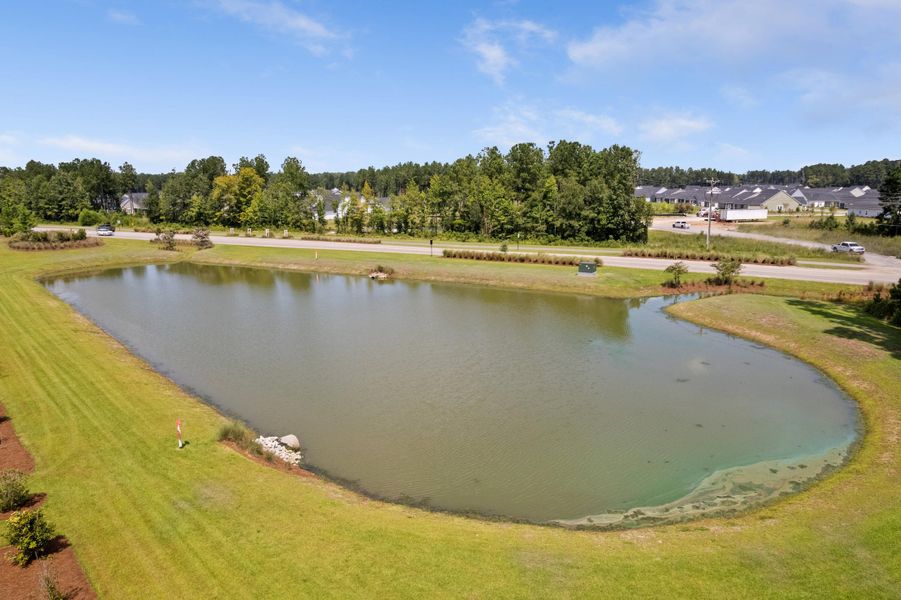 Natural landscape and outdoor views near Sweetgrass at Summers Corner in Summerville (Image 41).