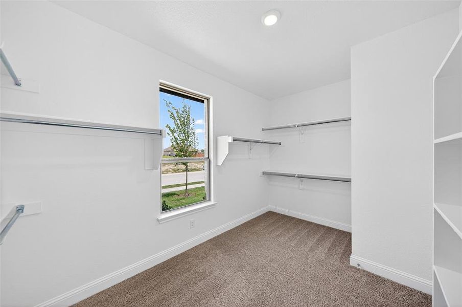Spacious closet featuring built-in shelving, hanging rods, recessed lighting, carpet flooring, and a large window