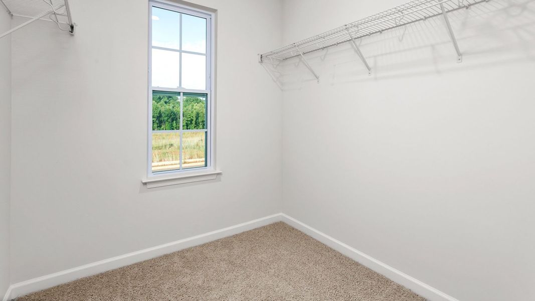 Spacious, unfurnished interior of a new home in Henley Ridge, Graham (Image 13).