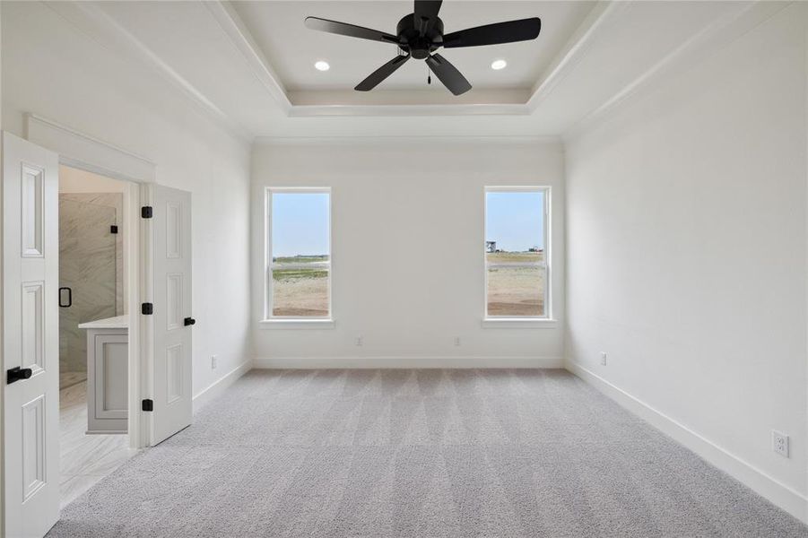 Empty room featuring light carpet, a wealth of natural light, ceiling fan, and a raised ceiling