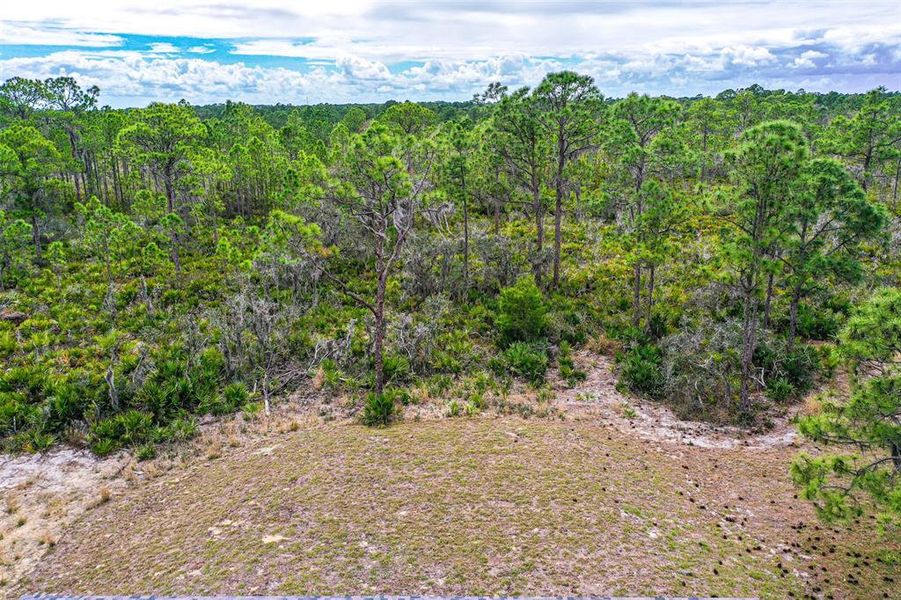 Natural landscape and outdoor views near  in Lake Placid (Image 17).