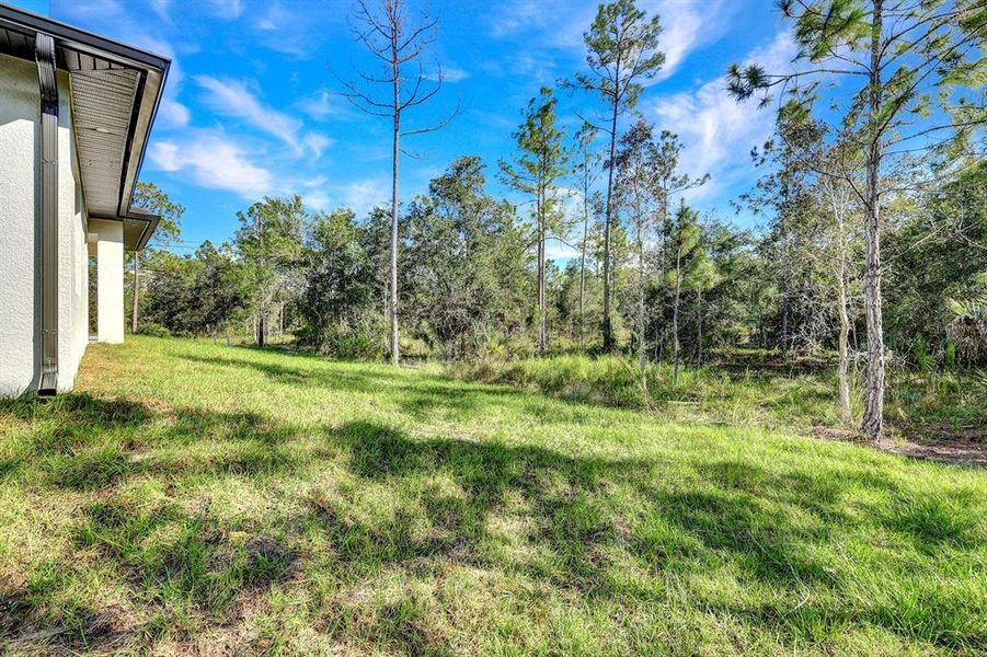 Natural landscape and outdoor views near  in Lehigh Acres (Image 17).