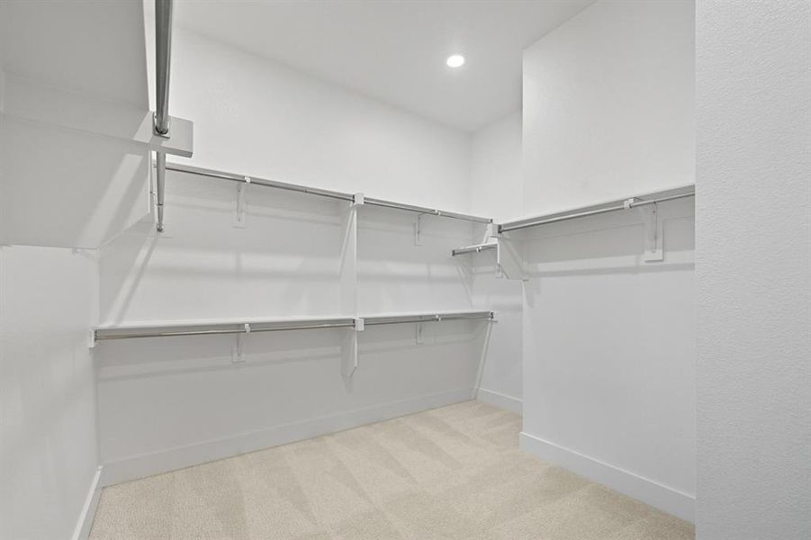 Spacious closet featuring light carpet