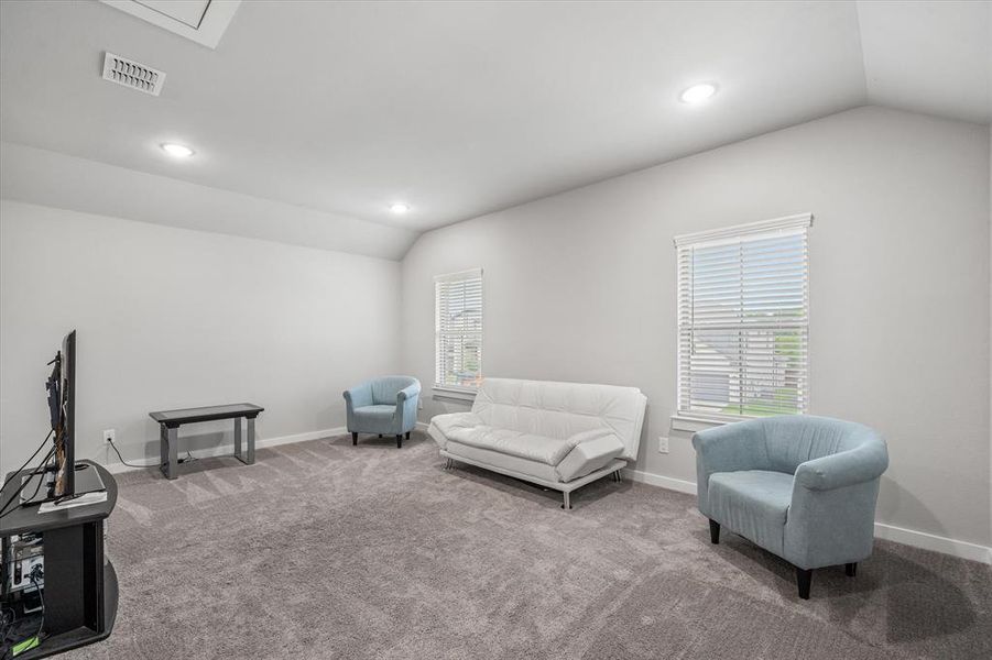 Carpeted living room with lofted ceiling