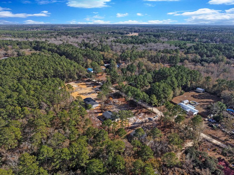 Natural landscape and outdoor views near  in Walterboro (Image 27).