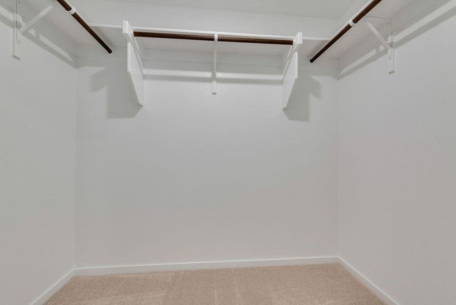 Walk in closet featuring carpet floors