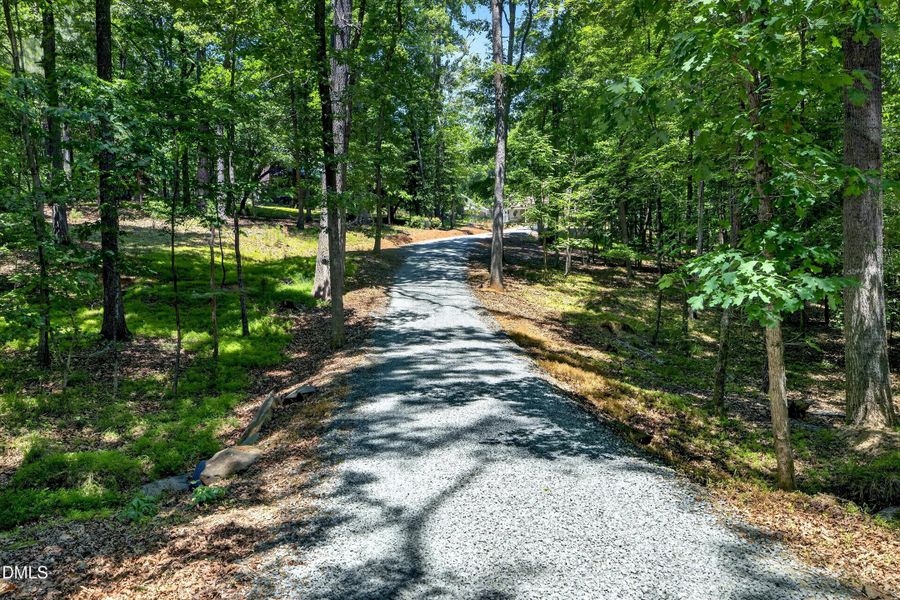 Scenic Drive from Driveway Scenic Drive from Driveway