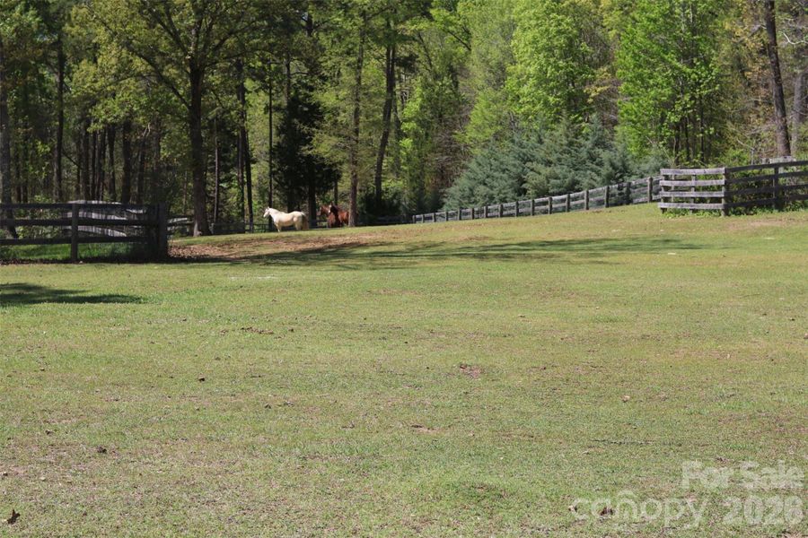 Natural landscape and outdoor views near  in Davidson (Image 29).