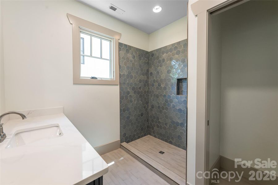 Lower level bathroom