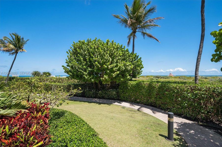 Natural landscape and outdoor views near  in Miami Beach (Image 11).
