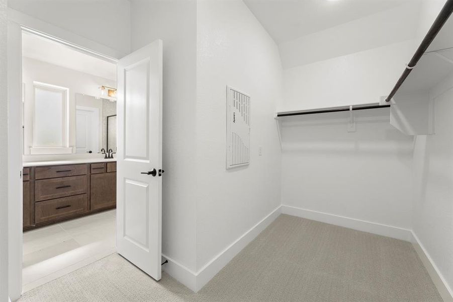 20. 1144 Amaryllis - Closet