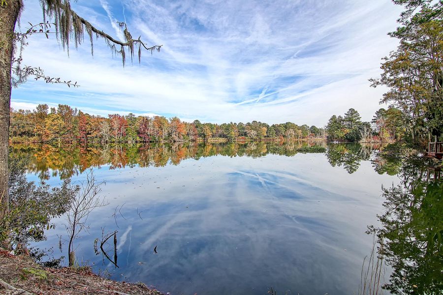 Natural landscape and outdoor views near Heron's Walk at Summers Corner in Summerville (Image 66).